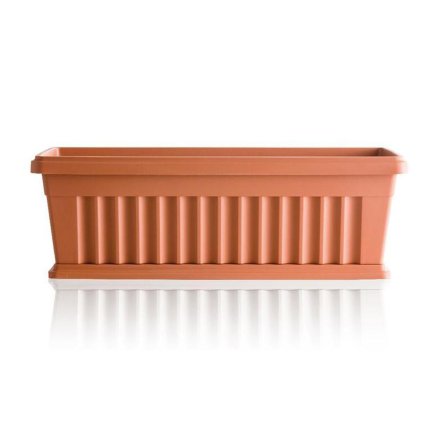 164321 iris 50 cm terracotta