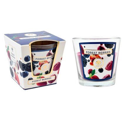 158244 forest berries