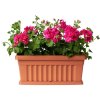 164321 1 iris 50 cm terracotta