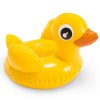 164498 plovouci zviratko 59590 kachnicka