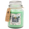 150550 1 eucalyptus spearmint