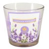 159440 7 lavender provence