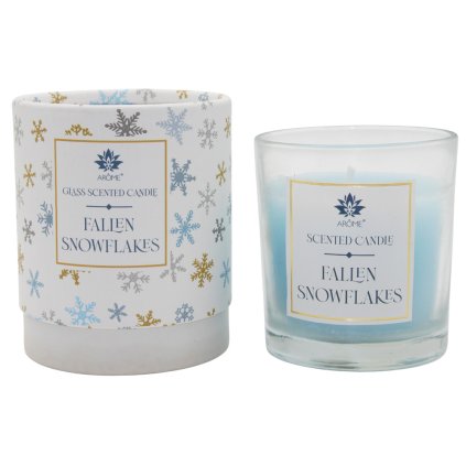 129201 fallen snowflakes