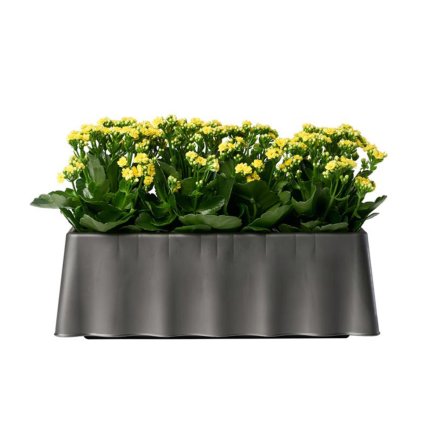 156489 brezza antracit