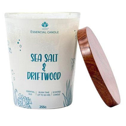 165272 2 sea salt driftwood
