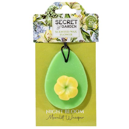 165635 1 night bloom