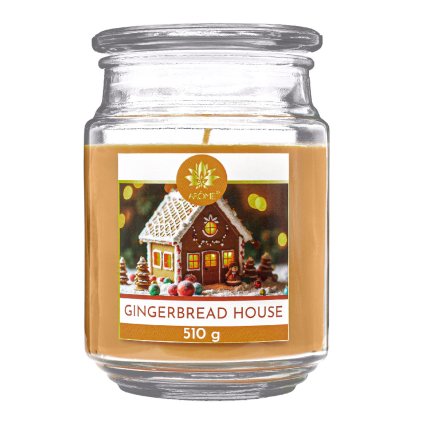 169694 gingerbread house