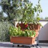 134899 11 orto di v barve terracotty