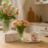 ROSE0006 00