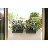 145238 5 truhlik rondine balcony barva antracit