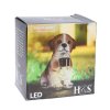 Home Elements Solární dekorace Pes se svítidlem (Druh 1)
