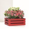 152964 1 truhlik tina flower 2 sl cervena