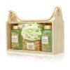 158025 2 olive