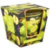 158226 1 green apple
