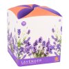 Lavender (Množství 1 ks)