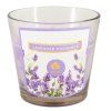 159440 2 lavender provence