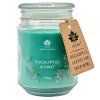 165302 1 eucalyptus mint