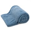166262 1 mikroflanelova deka pixel modra