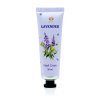 169604 6 lavender flower