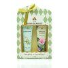 169607 elderflower tropical flower