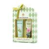 169607 2 elderflower tropical flower