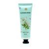 169607 8 elderflower tropical flower