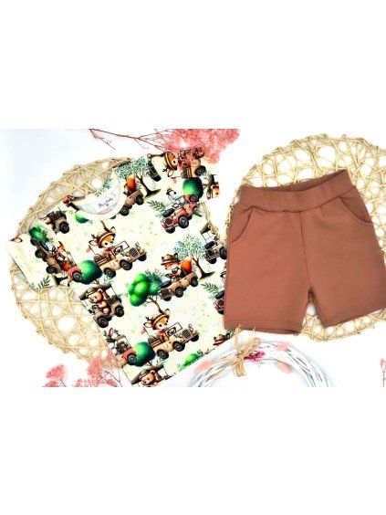 33c8d52084898fdb8148ca83c1147351