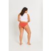 Modibodi Basic Cheeky Bikini Moderate Heavy cedar 3