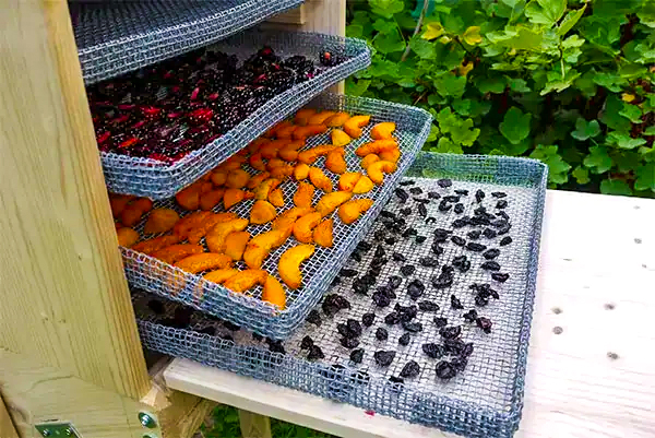 Sušenie ovocia a zeleniny