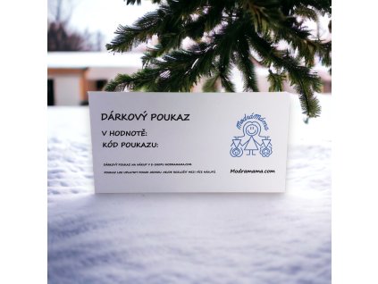 PhotoRoom 20231119 102536