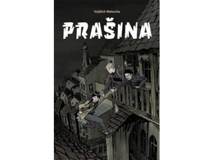 Prašina