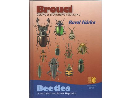 brouci