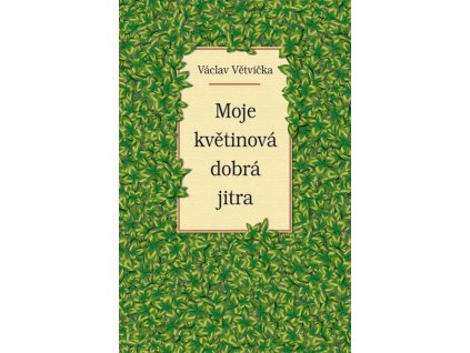 mojekvetinova