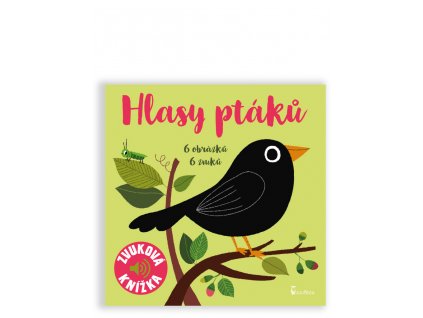 hlasyptaku