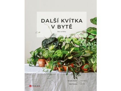 dalsikvitkavbyte