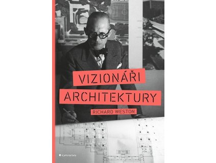 vizionariarchitektury