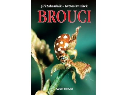brouciavenium
