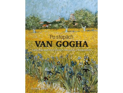 postopachvangogha