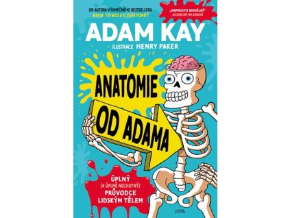 anatomieodadama