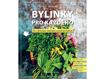 bylinkyprokazdeho
