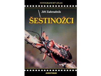 sestinozci