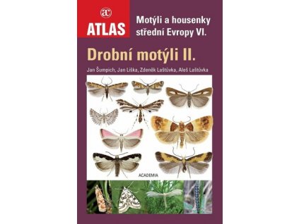 drobnimotyliII