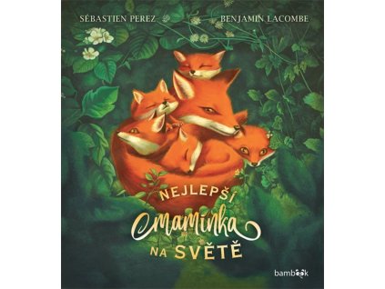 nejlepsimaminkanasvete