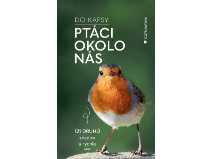 ptaciokolonas