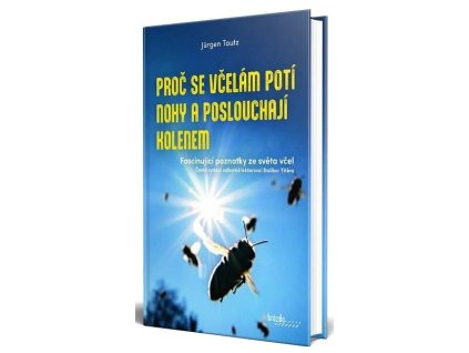 procsevcelam