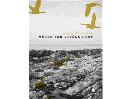 vsudepakvidelahusy