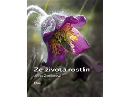 zezivotarostlin