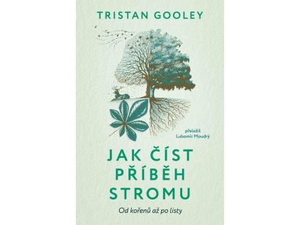 jakcistpribehstromu