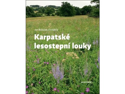 karpatskelesostepnilouky