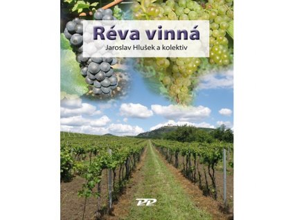 Réva vinná
